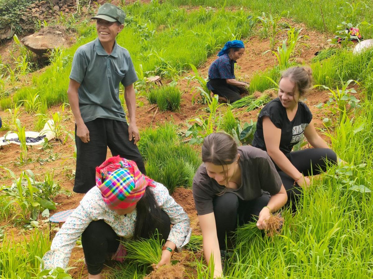 Indigenous Homestay- Trek- Food- Bus Mu Cang Chai Εξωτερικό φωτογραφία