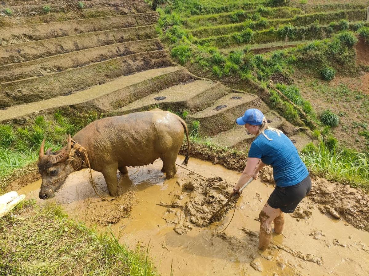 Indigenous Homestay- Trek- Food- Bus Mu Cang Chai Εξωτερικό φωτογραφία