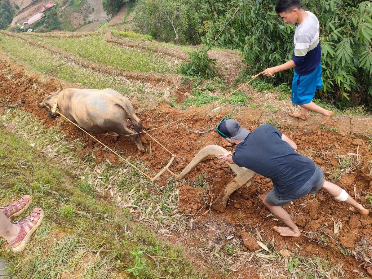Indigenous Homestay- Trek- Food- Bus Mu Cang Chai Εξωτερικό φωτογραφία