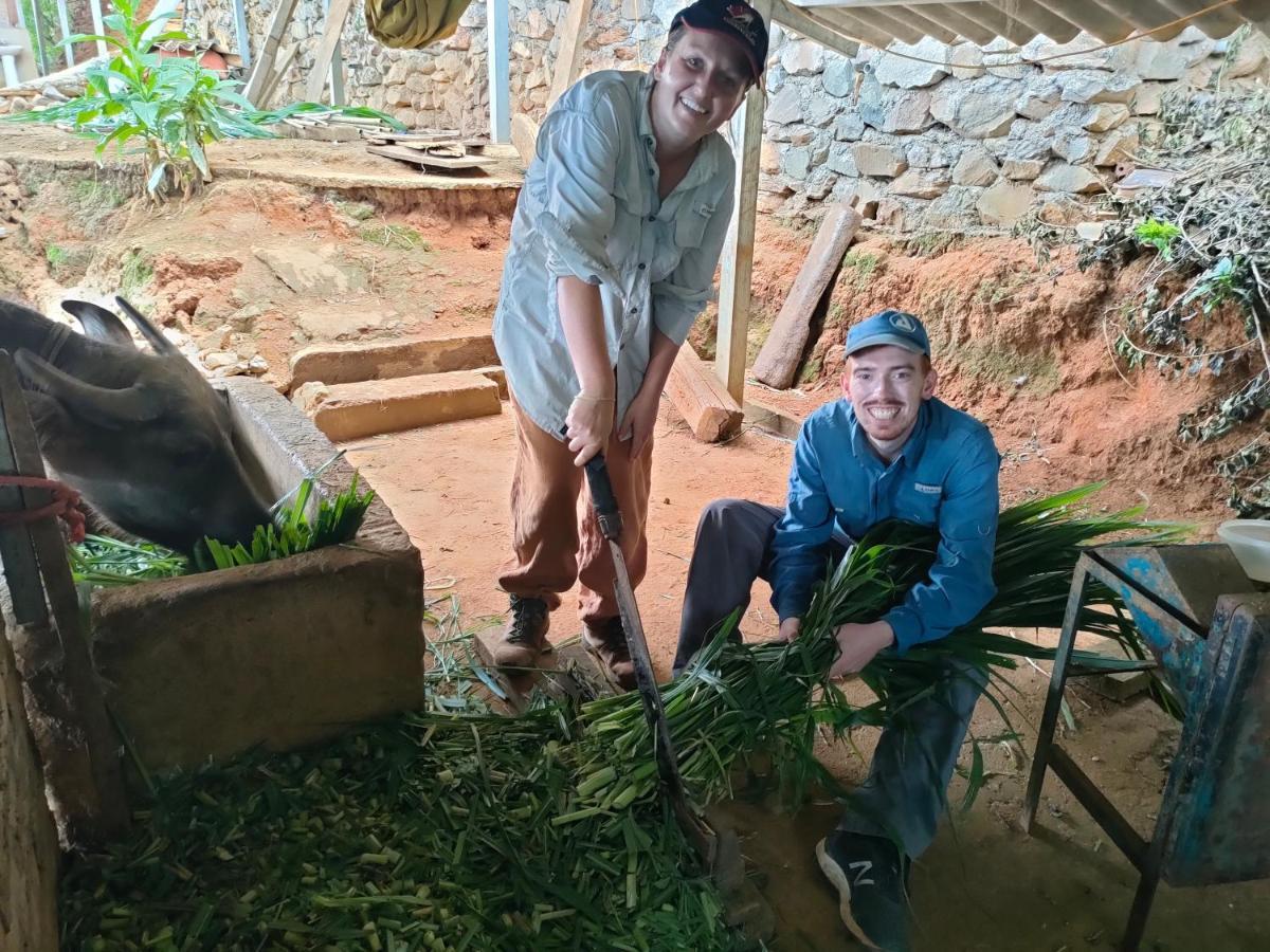 Indigenous Homestay- Trek- Food- Bus Mu Cang Chai Εξωτερικό φωτογραφία