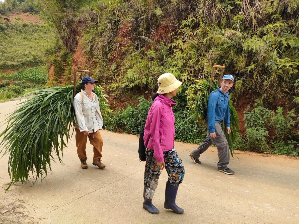 Indigenous Homestay- Trek- Food- Bus Mu Cang Chai Εξωτερικό φωτογραφία