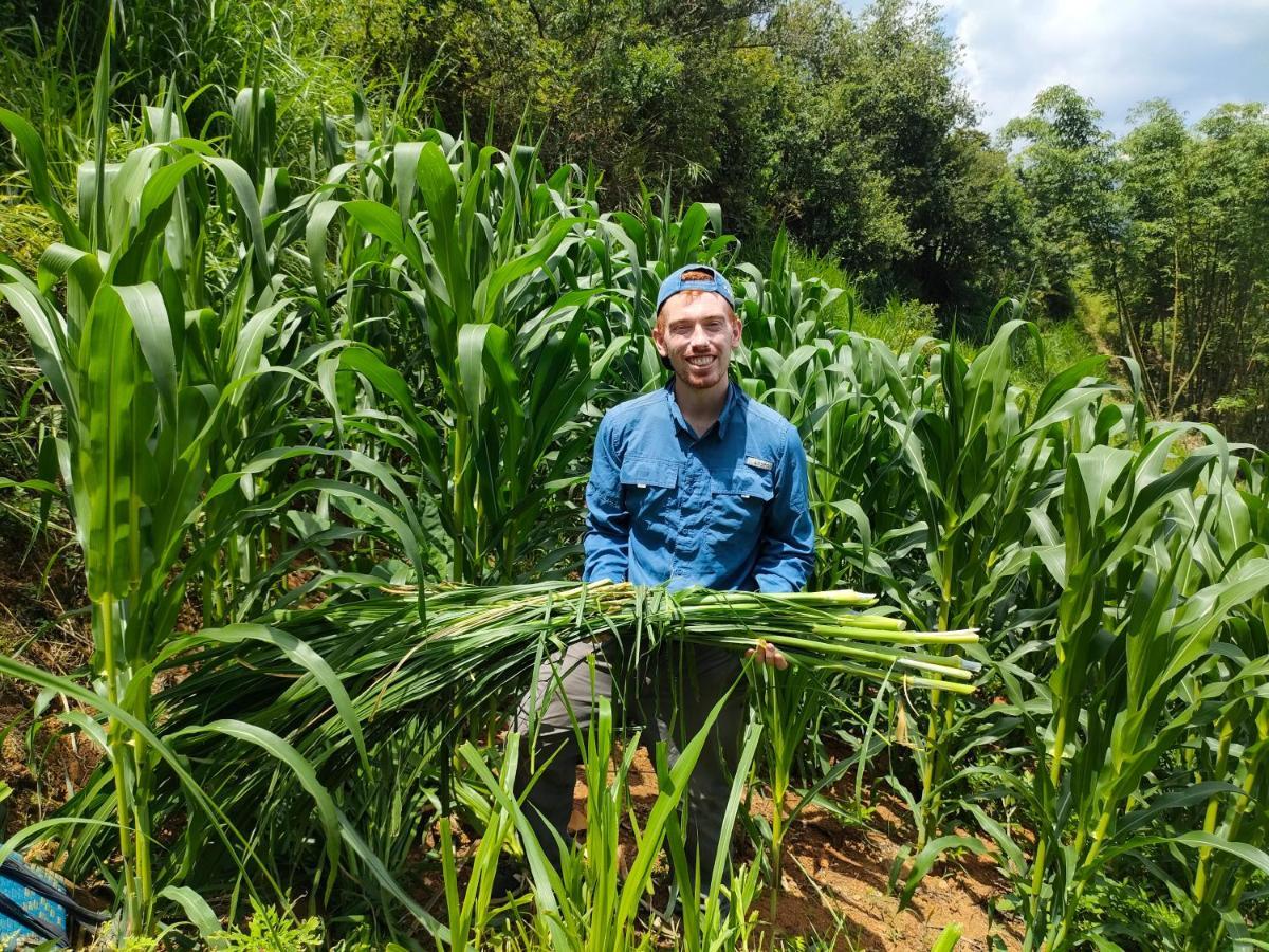 Indigenous Homestay- Trek- Food- Bus Mu Cang Chai Εξωτερικό φωτογραφία