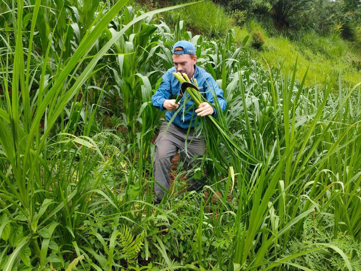 Indigenous Homestay- Trek- Food- Bus Mu Cang Chai Εξωτερικό φωτογραφία