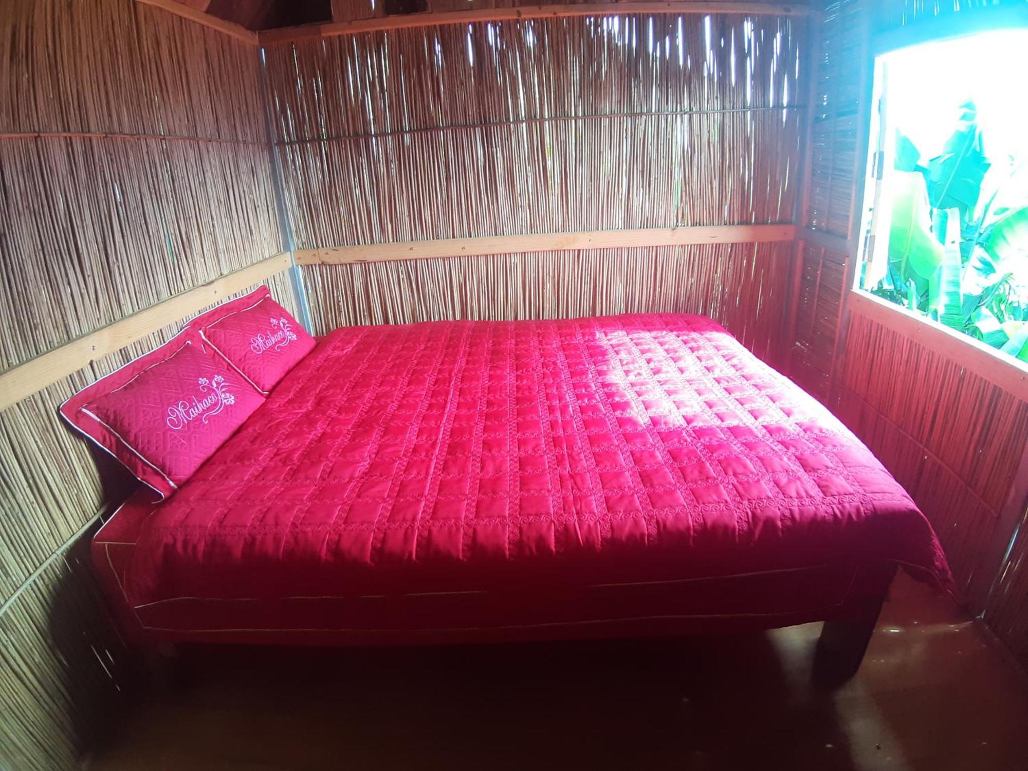 Indigenous Homestay- Trek- Food- Bus Mu Cang Chai Δωμάτιο φωτογραφία