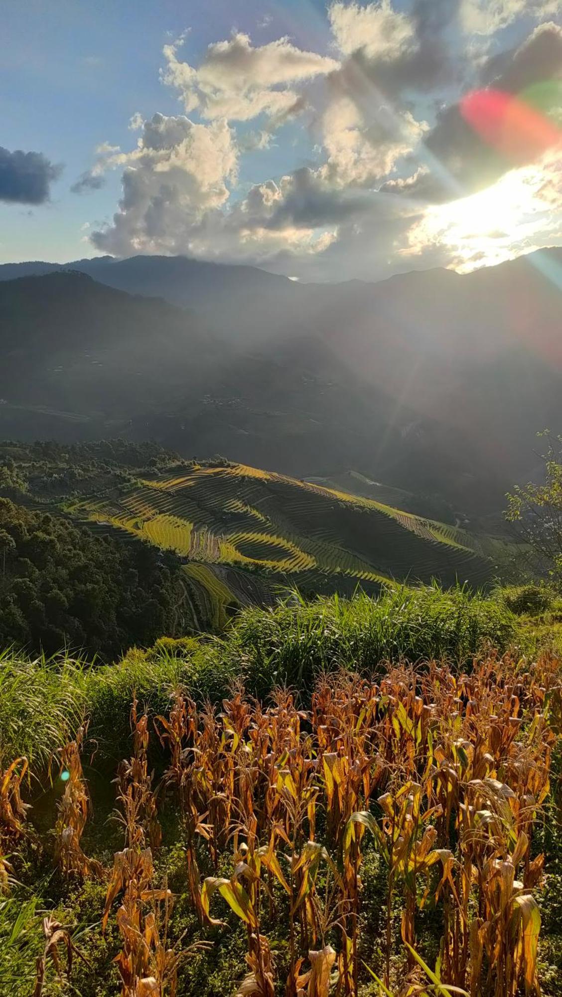 Indigenous Homestay- Trek- Food- Bus Mu Cang Chai Εξωτερικό φωτογραφία