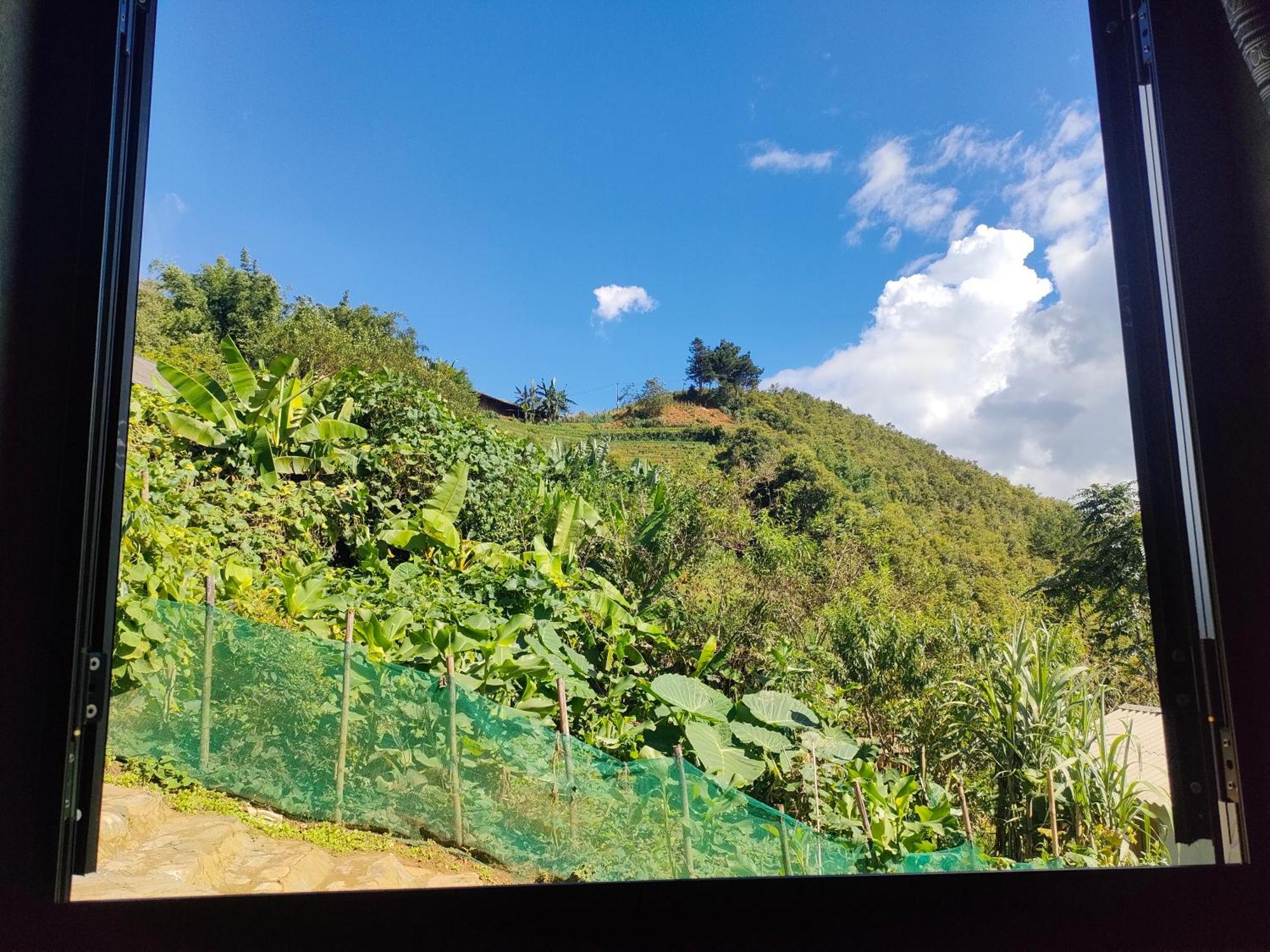 Indigenous Homestay- Trek- Food- Bus Mu Cang Chai Δωμάτιο φωτογραφία