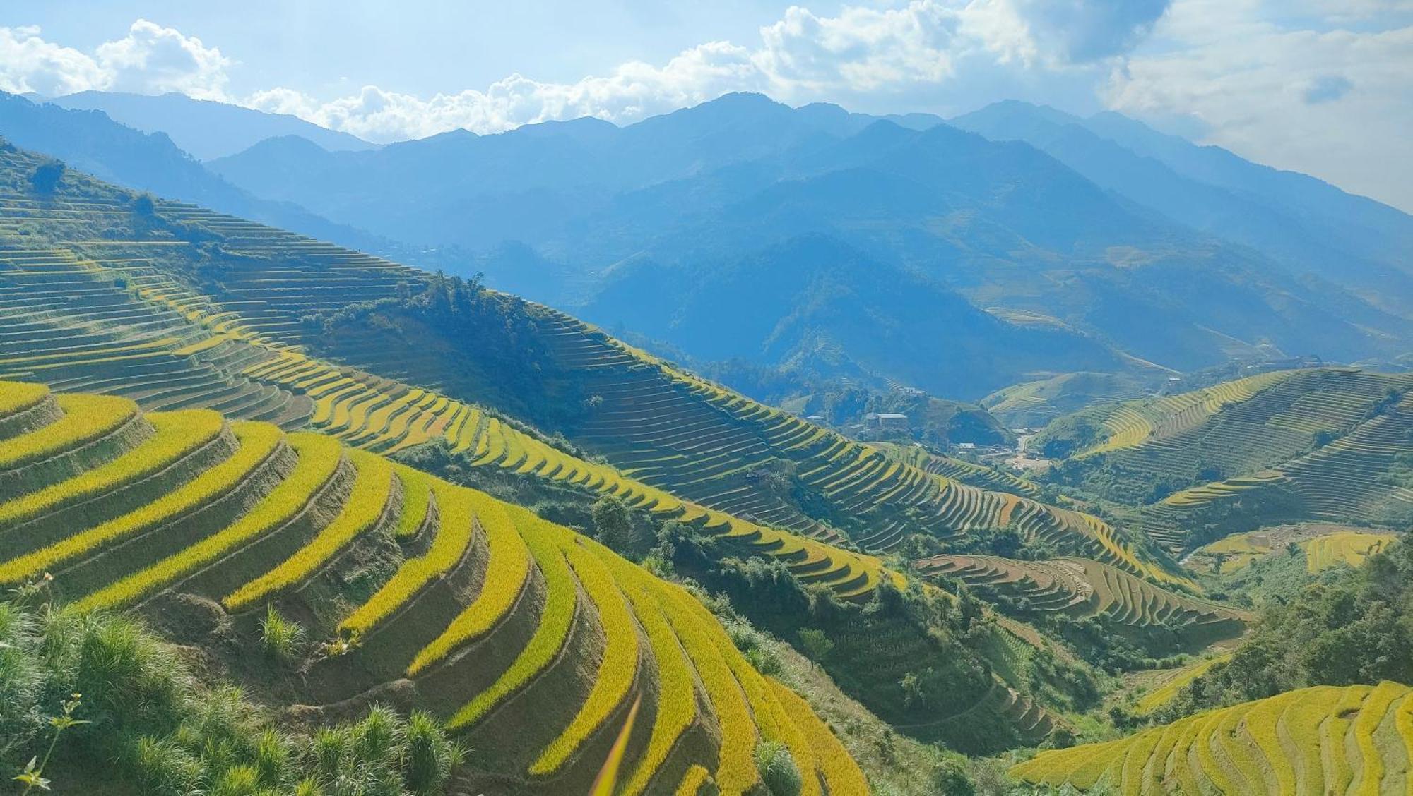Indigenous Homestay- Trek- Food- Bus Mu Cang Chai Εξωτερικό φωτογραφία