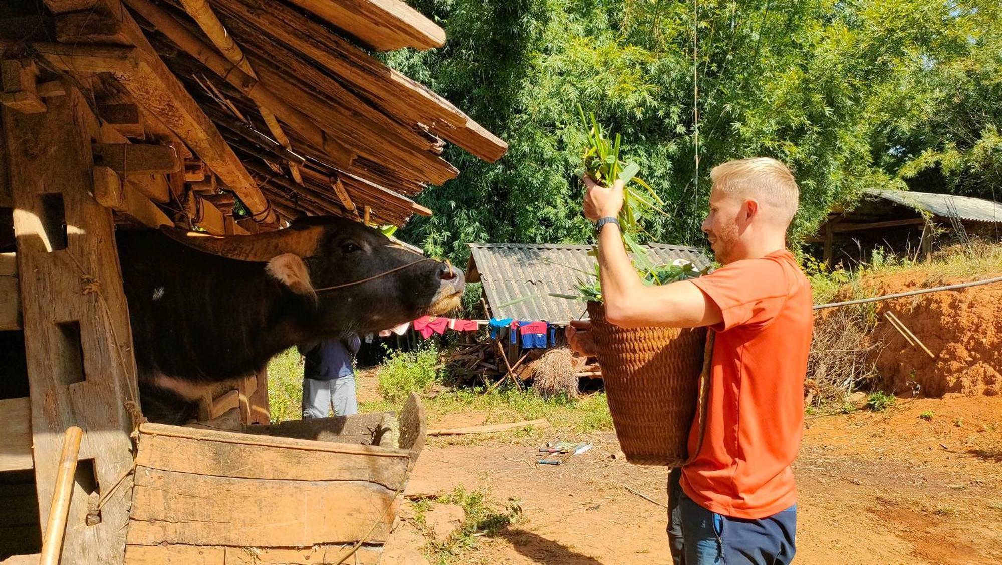 Indigenous Homestay- Trek- Food- Bus Mu Cang Chai Εξωτερικό φωτογραφία