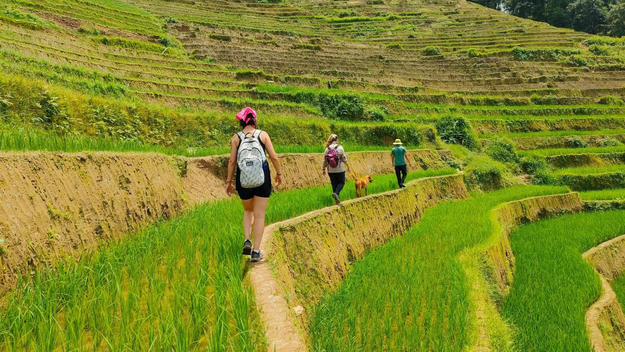 Indigenous Homestay- Trek- Food- Bus Mu Cang Chai Εξωτερικό φωτογραφία